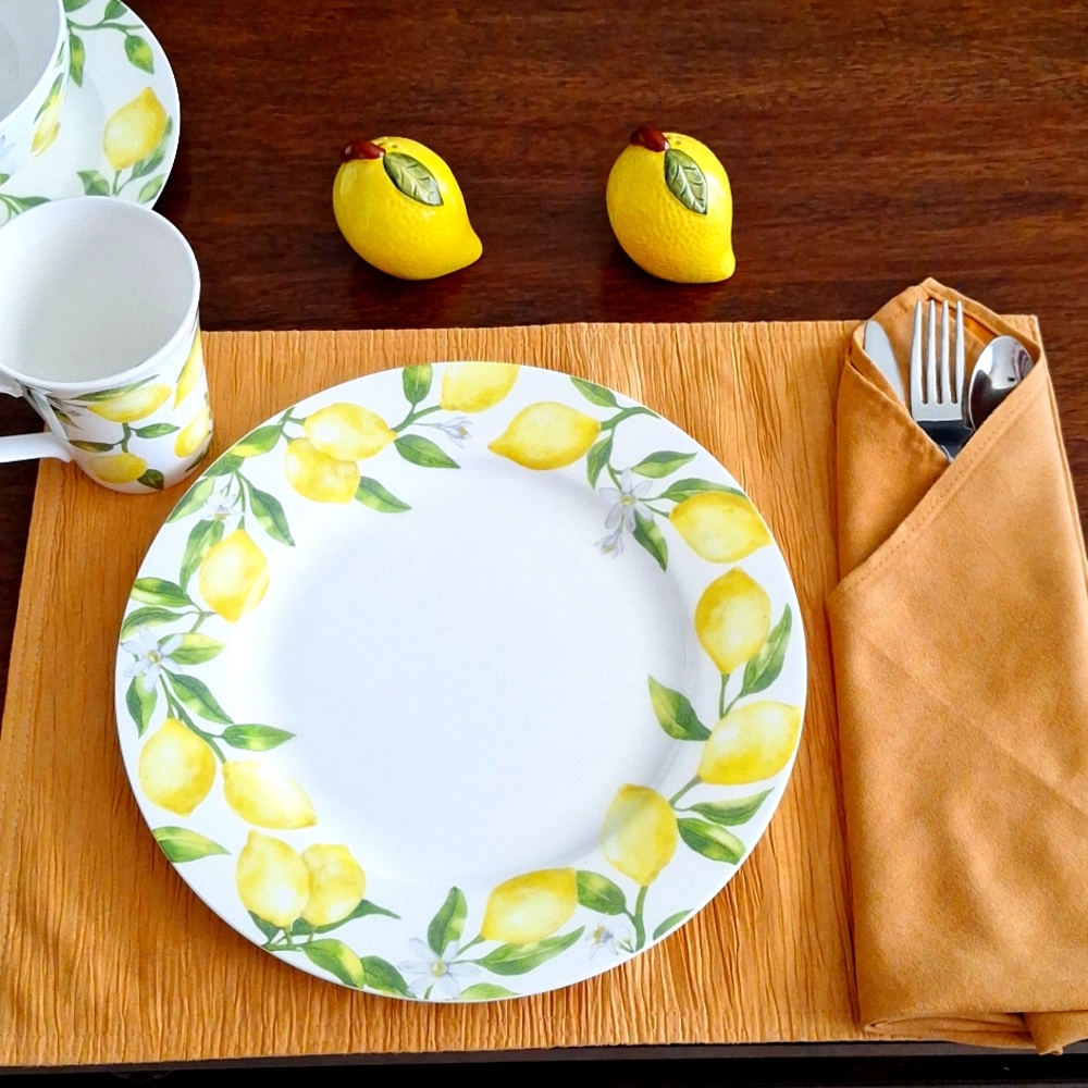 Placemats and Napkins Great Deal For Suade Material